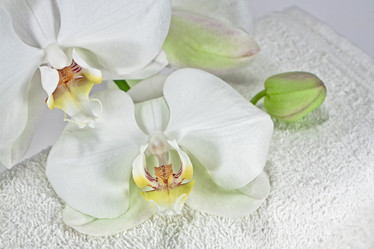 Similar image 1092574