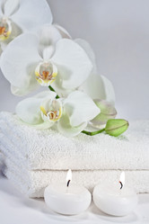 Similar image 1092580