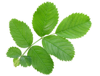 Similar image 1092589