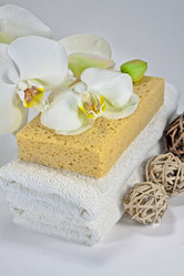 Similar image 1092590