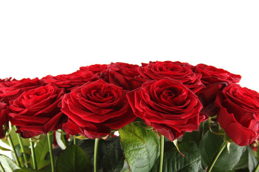 Similar image 1092606