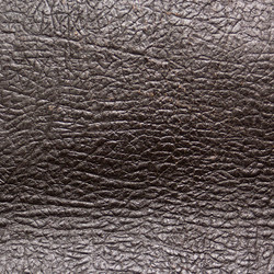 Similar image 1092618