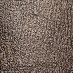 Similar image 1092622