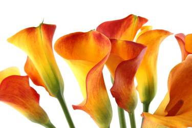 Similar image 1092607