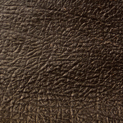 Similar image 1092615