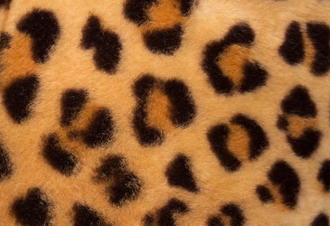 Similar image 1092624