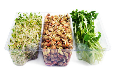 Similar image 1092641