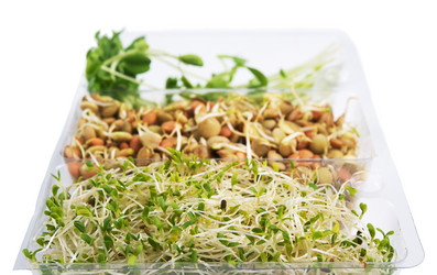 Similar image 1092643