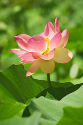 Similar image 1092644