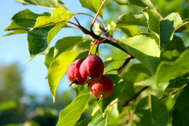 Similar image 1092786