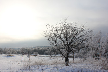 Similar image 1093330