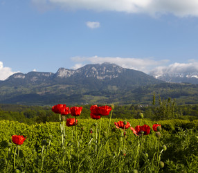 Similar image 1093378