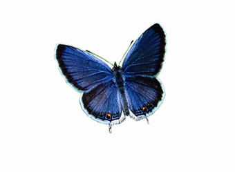 Similar image 1093387