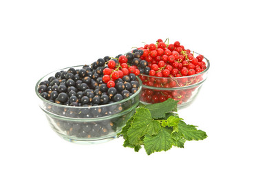 Similar image 1093395