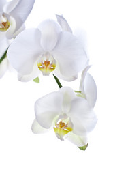 Similar image 1093487