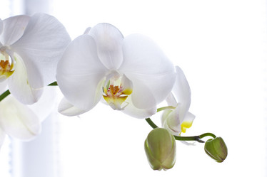 Similar image 1093496