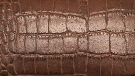 Similar image 1093535