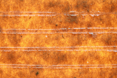 Similar image 1093537