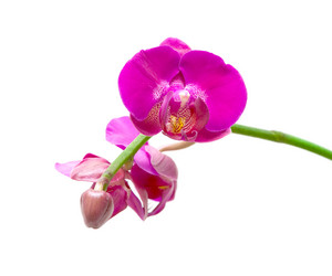 Similar image 1093607