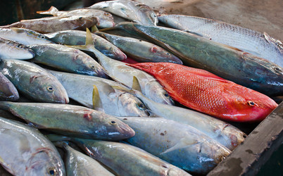 Similar image 1093635