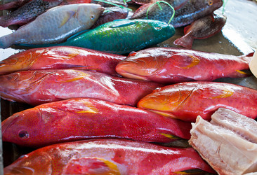 Similar image 1093637