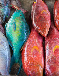 Similar image 1093640