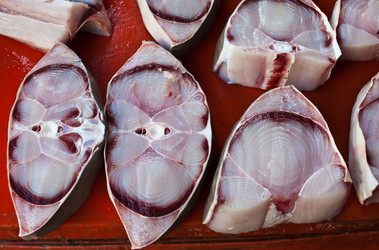 Similar image 1093644