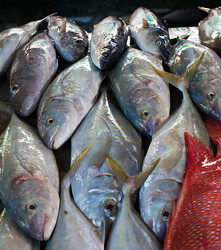 Similar image 1093646