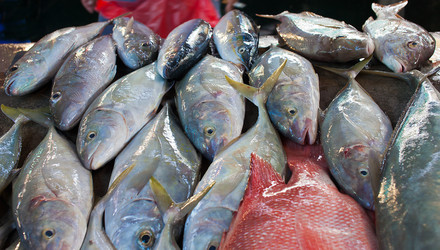 Similar image 1093648