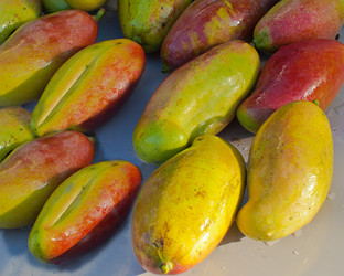 Similar image 1093774