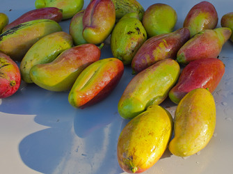 Similar image 1093775