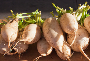 Similar image 1093777