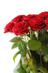 Similar image 1093791