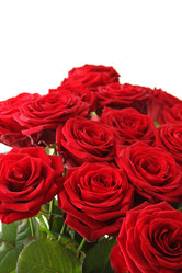 Similar image 1093790