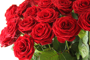 Similar image 1093792