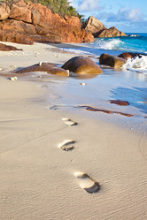 Similar image 1093862