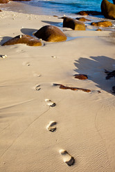 Similar image 1093863