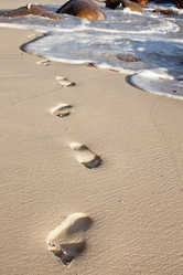 Similar image 1093928