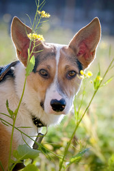 Similar image 1093932