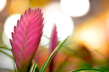 Similar image 1093952