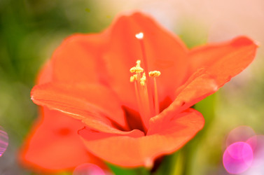 Similar image 1093956