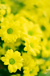 Similar image 1093954