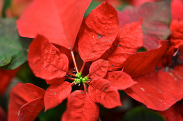 Similar image 1093962