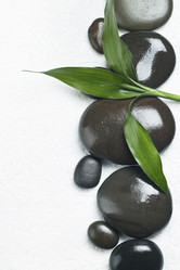 Similar image 1094014