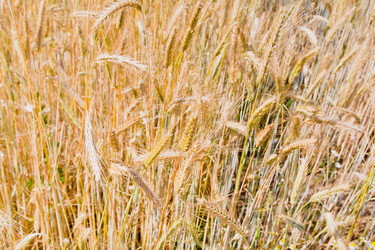 Similar image 1094047