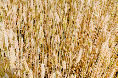 Similar image 1094049