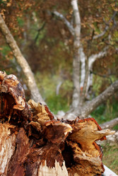 Similar image 1094070