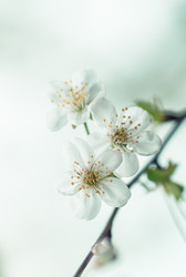 Similar image 1094102