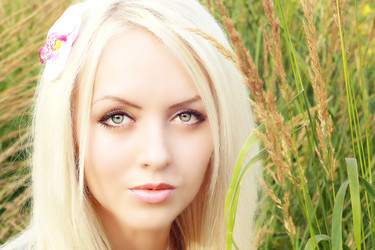 Similar image 1094167