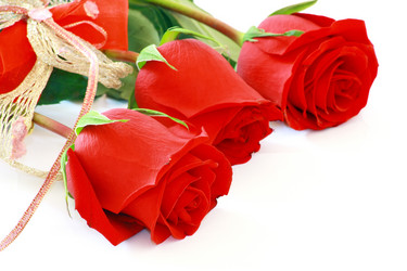 Similar image 1094171